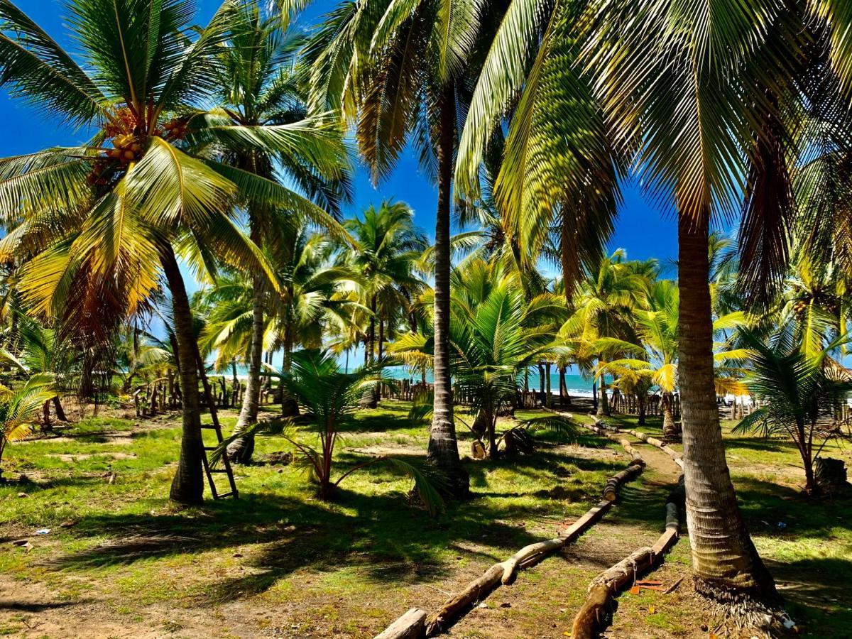 Playa Jaguar - Beach Club Monitos Exterior photo